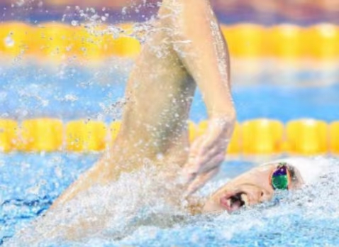 國(guó)際泳聯(lián)冠軍游泳系列賽（廣州站）