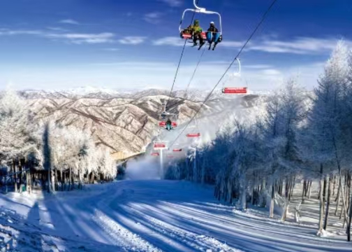 國(guó)務(wù)院辦公廳印發(fā)《關(guān)于進(jìn)一步培育新增長(zhǎng)點(diǎn)繁榮文化和旅游消費(fèi)的若干措施》<br>提出“啟動(dòng)實(shí)施冰雪旅游提升計(jì)劃”